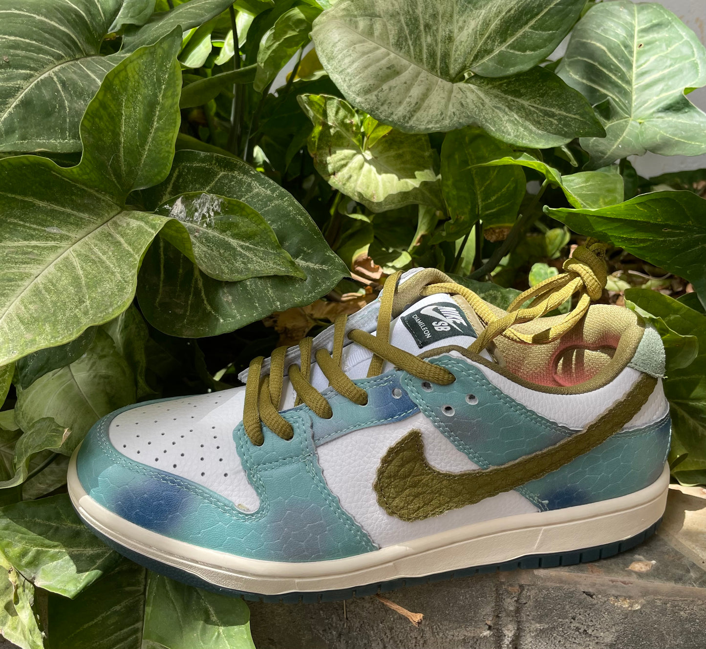 Sb dunk low « Alexis sablone »