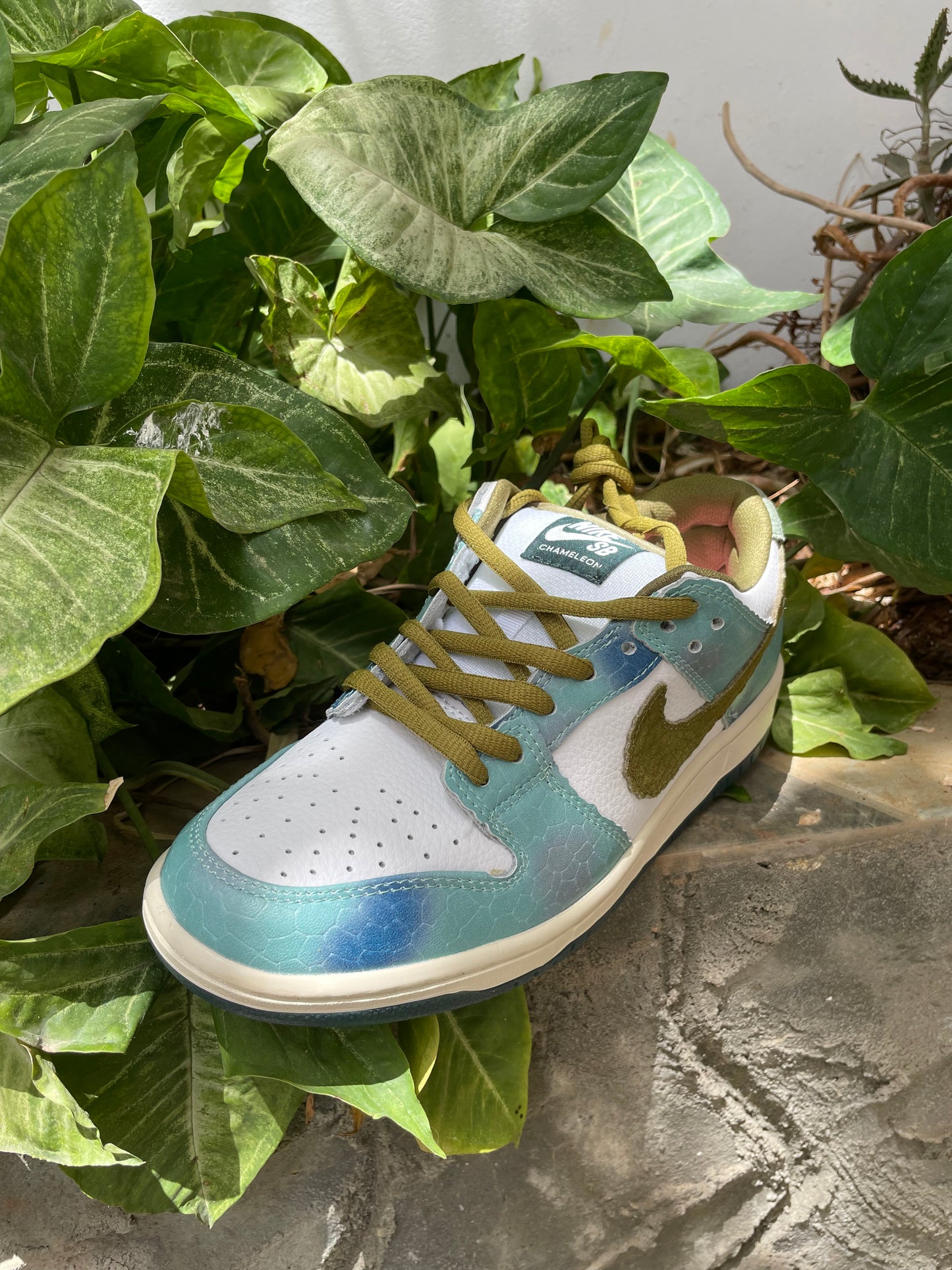 Sb dunk low « Alexis sablone »