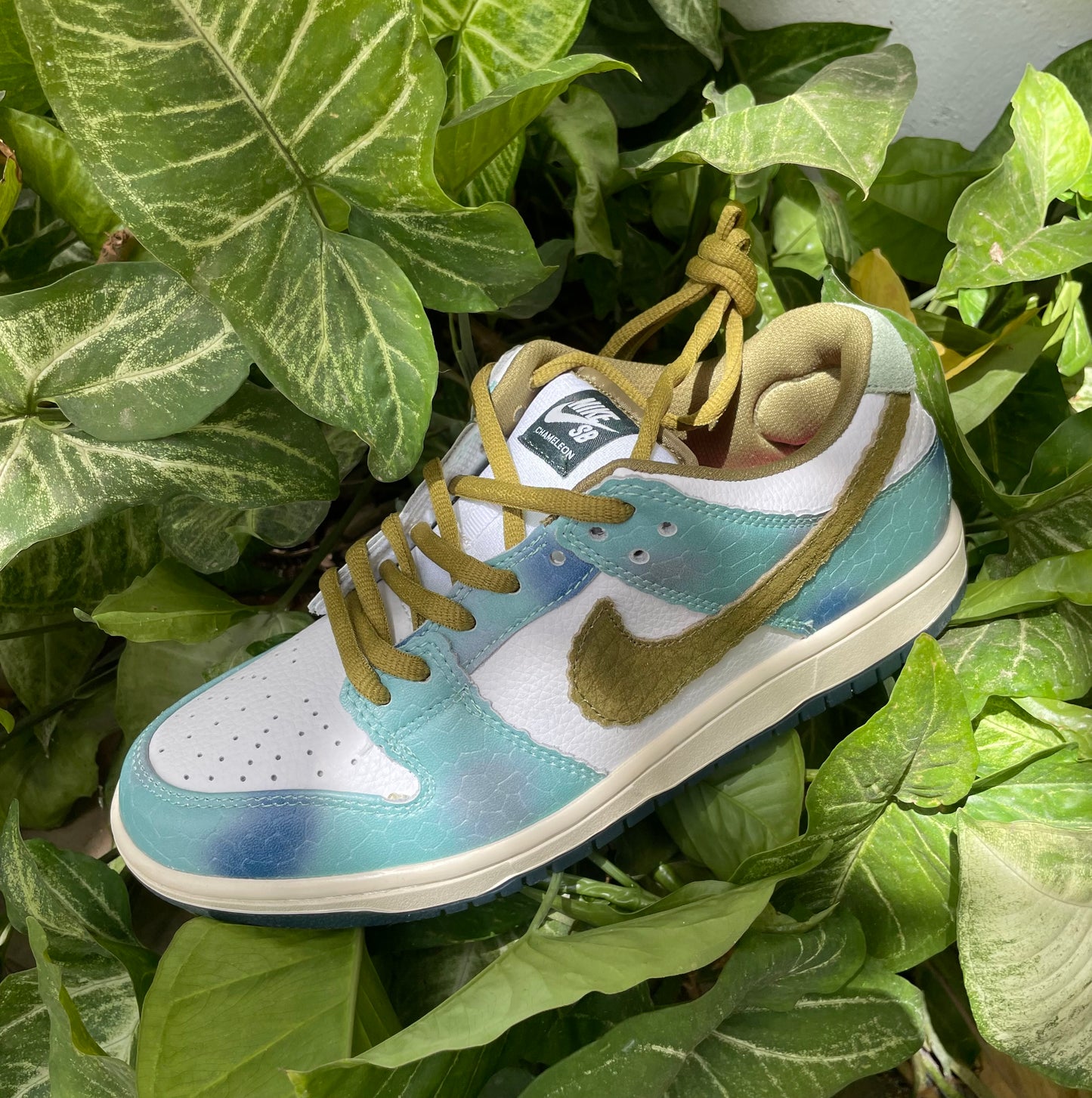 Sb dunk low « Alexis sablone »